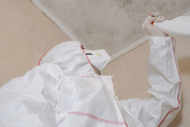 Best Mold Remediation for Rental Properties  in El Dorado, KS